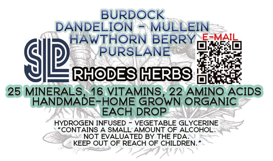 Burdock Root & Leaf Tincture