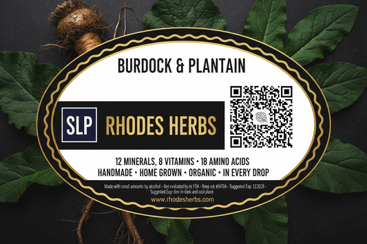 Burdock & Plantain Tincture — Organic & Homegrown