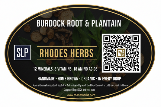 Burdock Root & Plantain Tincture