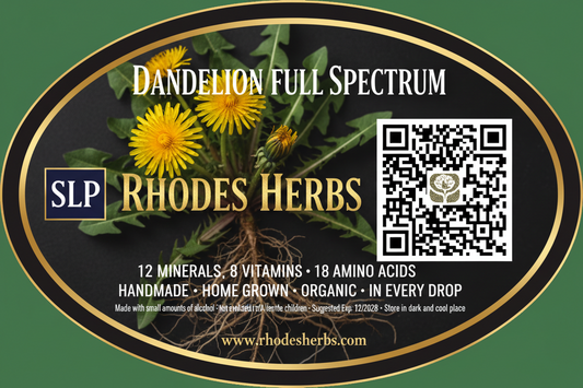 Dandelion Full Spectrum Tincture — Organic & Homegrown