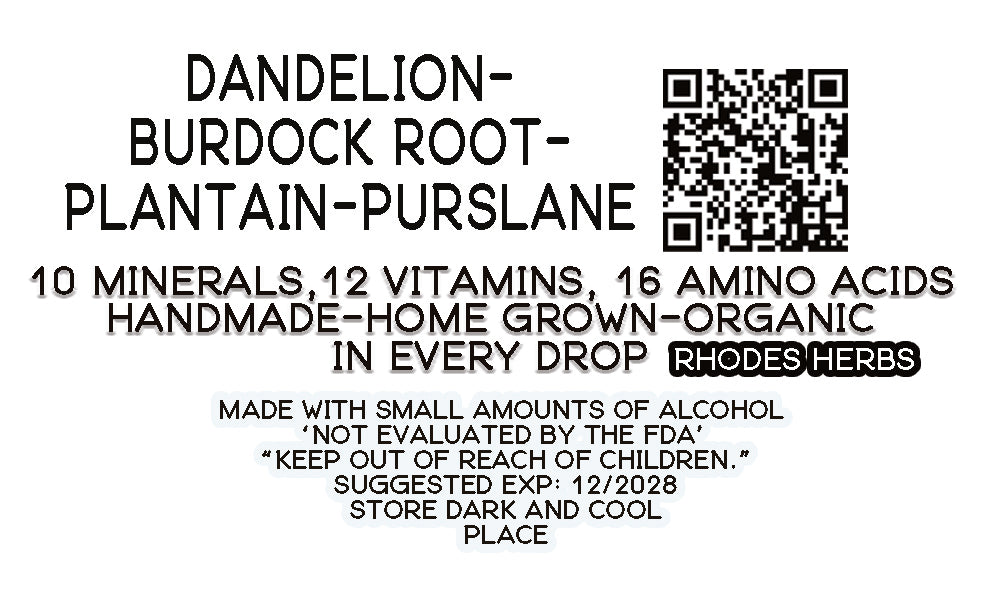The Replenisher V4 — Dandelion, Burdock Root, Plantain & Purslane Tincture