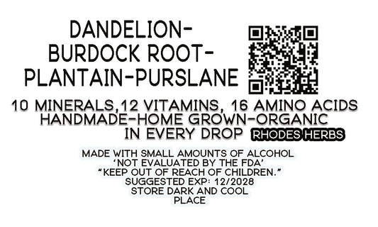The Replenisher V4 — Dandelion, Burdock Root, Plantain & Purslane Tincture