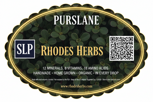 Purslane Tincture — Organic & Homegrown