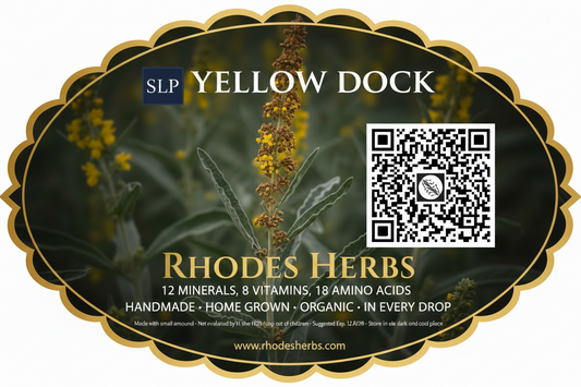 Yellow Dock Root and Leaf Tincture — Organic & Homegrown